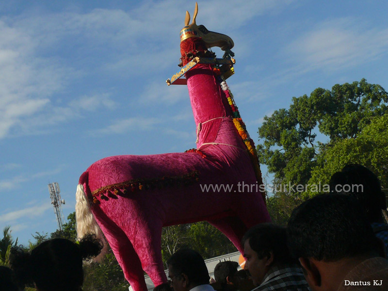 mangad-pooram-2013 (16)